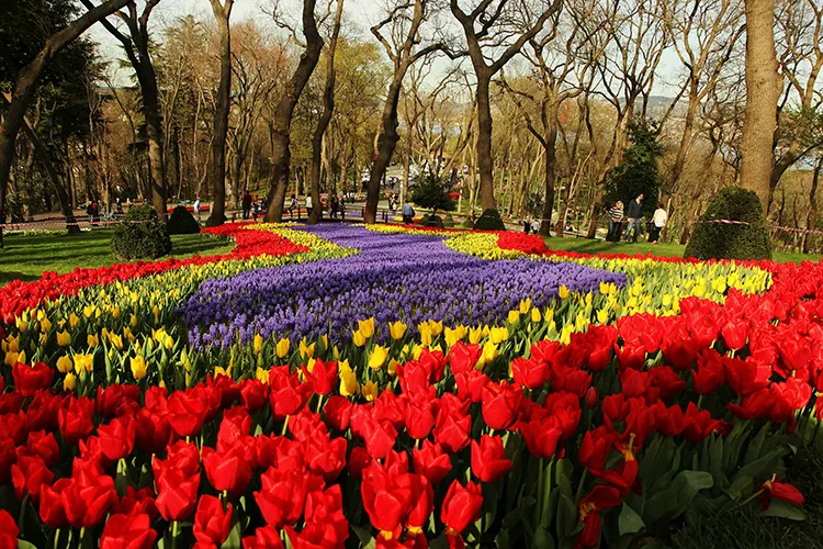 Green spaces and parks in Istanbul