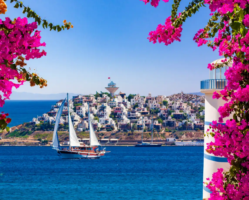 Exploring the Types of Properties Available in Bodrum