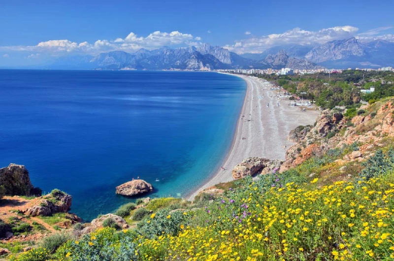 Pet-Friendly Neighborhoods and Amenities in Antalya