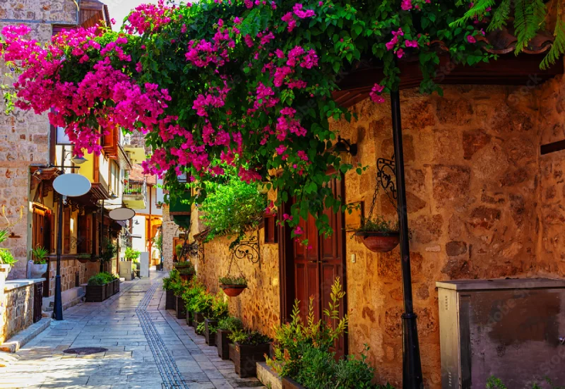 Tips for a successful wedding in Antalya Old Town